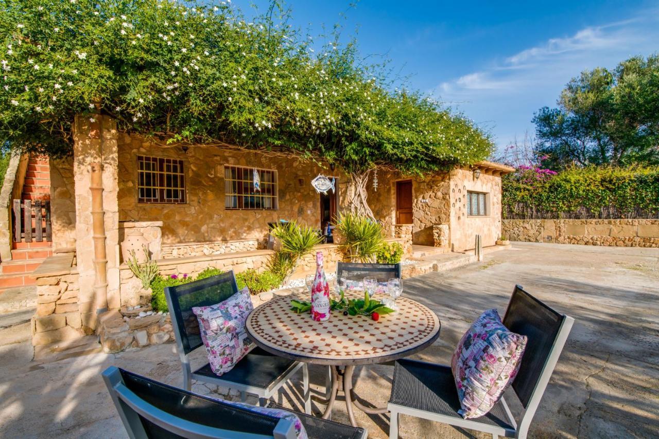 Ideal Property Mallorca - Sa Vinya Vella Алькудія Екстер'єр фото