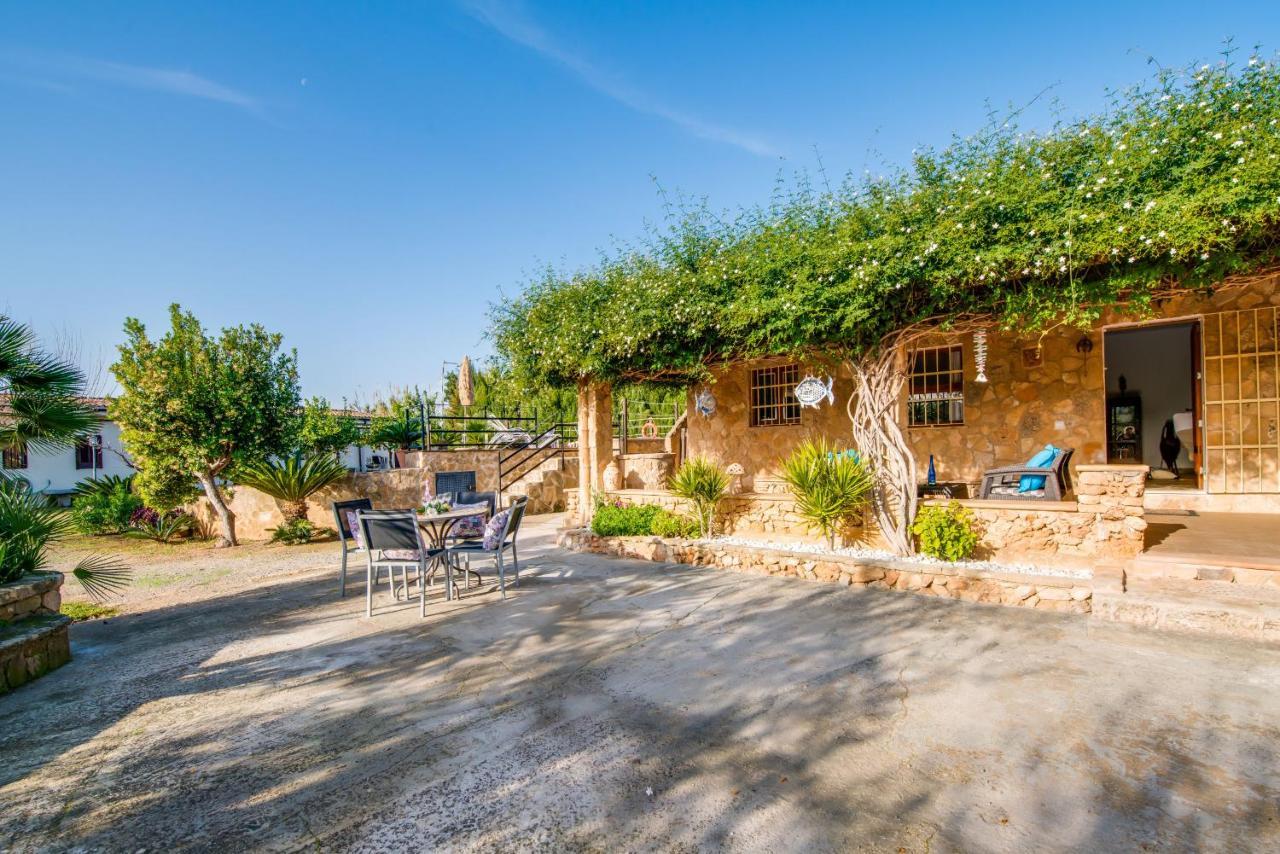 Ideal Property Mallorca - Sa Vinya Vella Алькудія Екстер'єр фото
