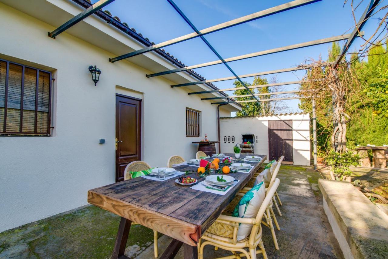 Ideal Property Mallorca - Sa Vinya Vella Алькудія Екстер'єр фото