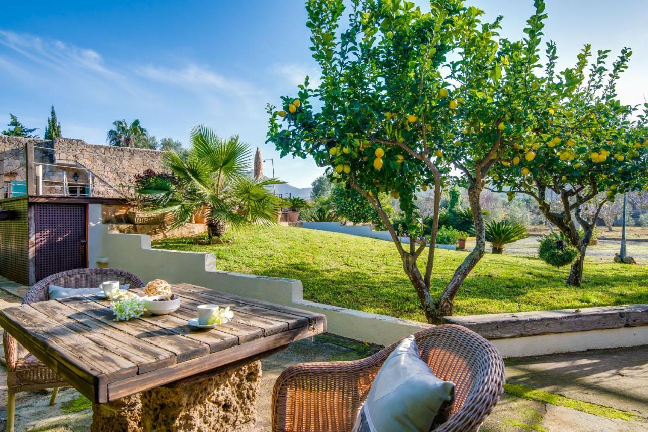 Ideal Property Mallorca - Sa Vinya Vella Алькудія Екстер'єр фото